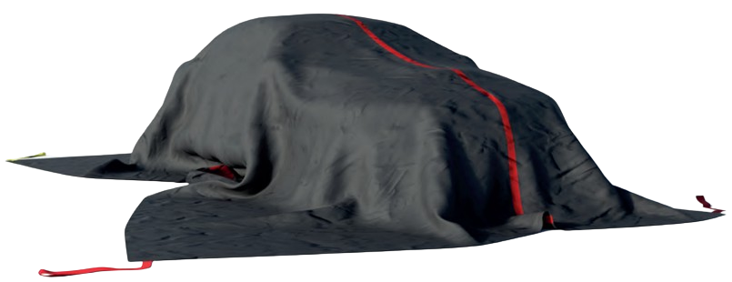 Car Standard